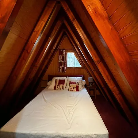 De Montagne Chalet *