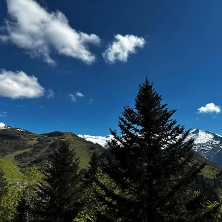 De Montagne *